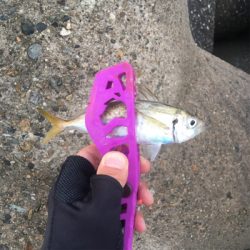 2018年タチウオゲーム開幕