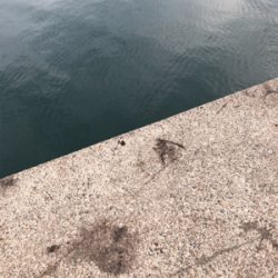 サイズアップしてました