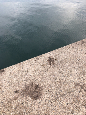 サイズアップしてました