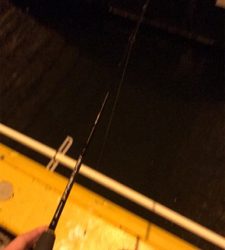 暇つぶしのライトゲーム