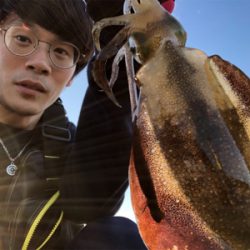 男鹿半島椿港アオリイカエギング