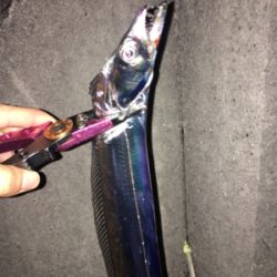 ひっさびさタチウオ釣行