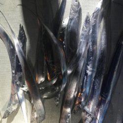 heyheyshipさん利用しました