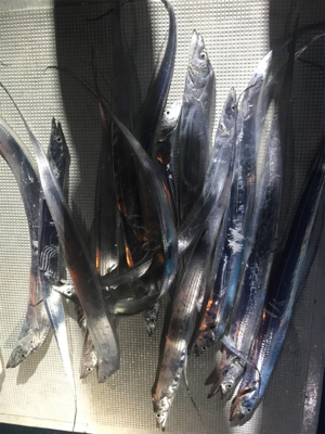 heyheyshipさん利用しました