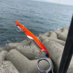 この後時期。いつもなら…