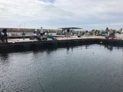 田尻の釣堀で半日コース