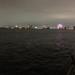 なんとか釣れた