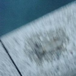 初ナイトエギング