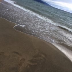 ヒラメンゴにヒラメ