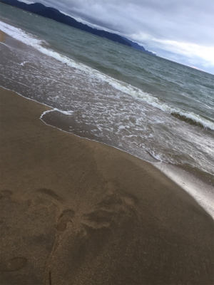 ヒラメンゴにヒラメ