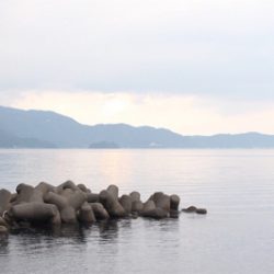 今年初のエギング