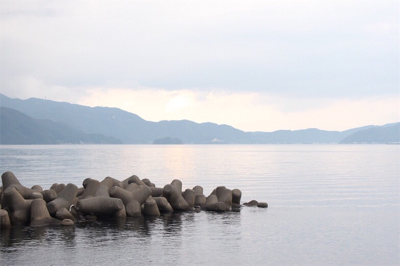 今年初のエギング
