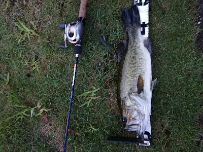 子供とバス釣り