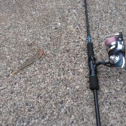 久し振りの上瀬