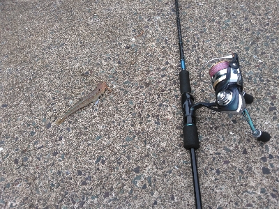 久し振りの上瀬