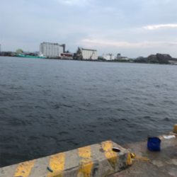 ぼっち釣行.昼からサヨリ釣り