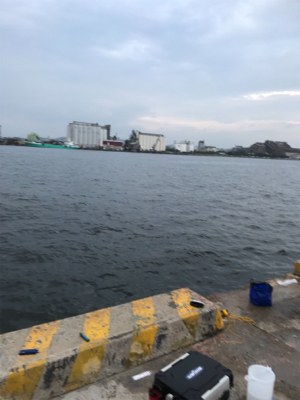 ぼっち釣行.昼からサヨリ釣り