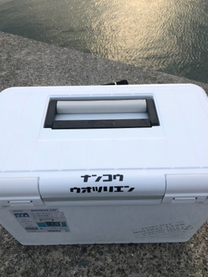 朝まづめ 活性高