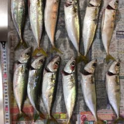 サバサバサバ！