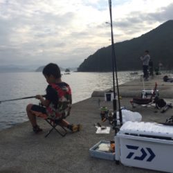 タチウオ期待してましたが、、、