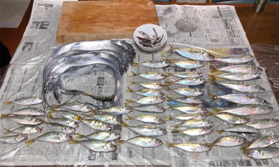小アジ、タチウオ釣り