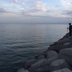 タチウオ ワインド