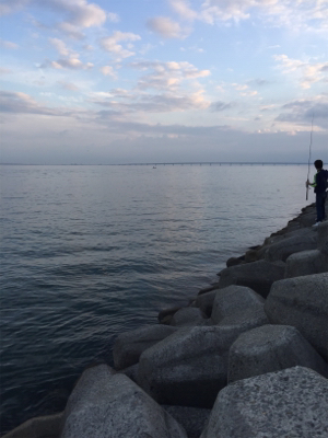 タチウオ ワインド