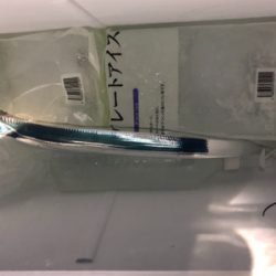 ミニタチウオ祭り