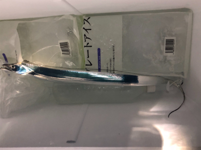 ミニタチウオ祭り