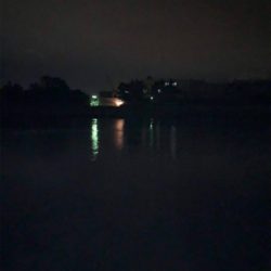 久々フィッシュ(チヌ)