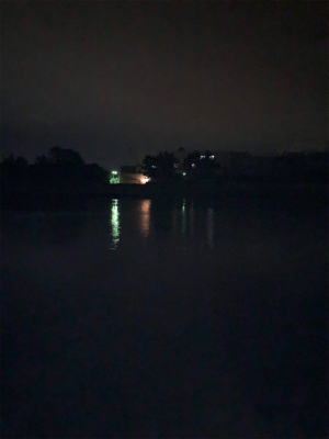 久々フィッシュ(チヌ)