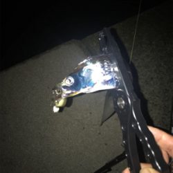 和歌山あちこち(笑)