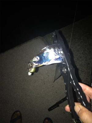 和歌山あちこち(笑)