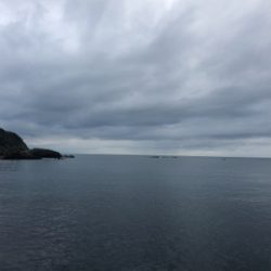 はじめての爆釣