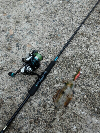 朝から絶好調！！