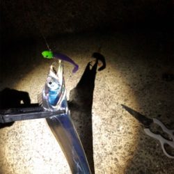 スローワインド!