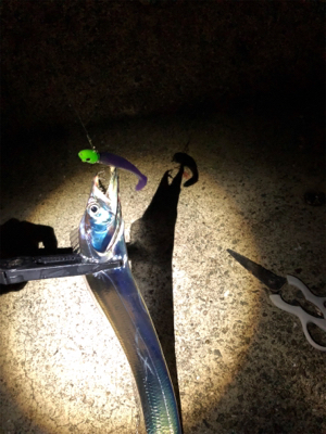 スローワインド!