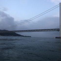 メジロフィーバー