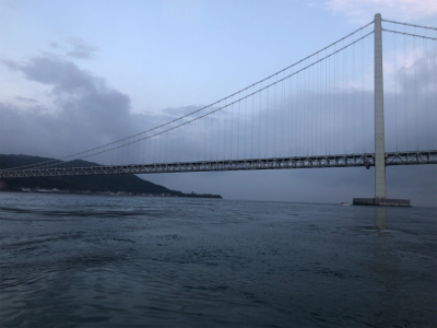 メジロフィーバー