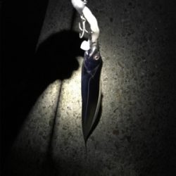 タチウオは裏切りません