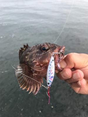 美味しいサカナたち