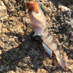 キス渋い…(＞＜)