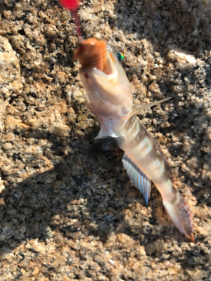 キス渋い…(＞＜)