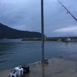 和歌山中紀から舞鶴に遠征