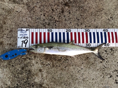 予想外の5目達成