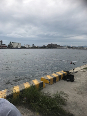 息子とサヨリ釣り