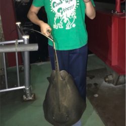 漁港での暇つぶしライトゲーム