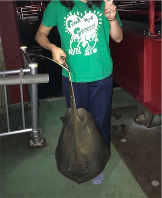 漁港での暇つぶしライトゲーム