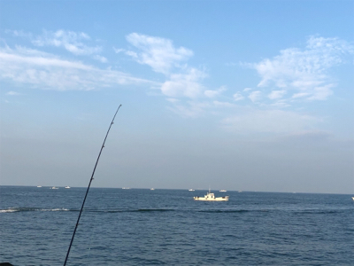 朝にラッシュあり