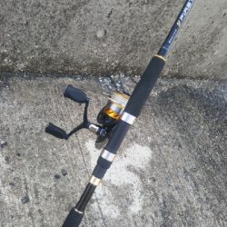 やっぱエサかぁ…